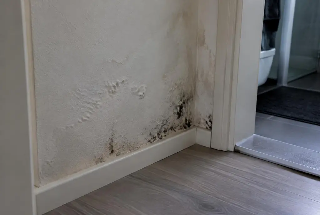 Lekdetectie Soest – vochtplek met schimmel op een muur